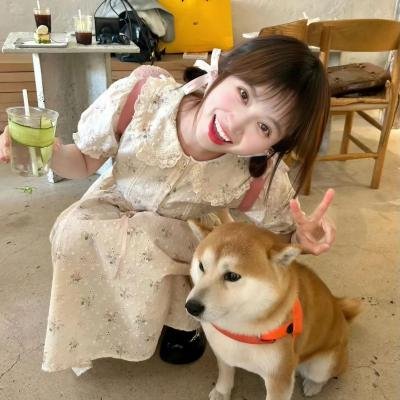 宝贝赳赳第三季