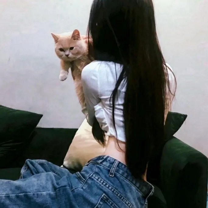 豪门少爷俏佳人